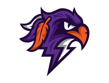 Bandits vs. Thunderbirds