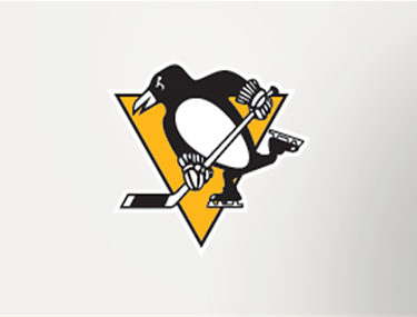 Sabres vs. Penguins*